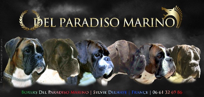 Del paradiso marino - Un peu d'histoire chez les DPM 
