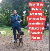  - BABY SHOW DE WALLERS  ARENBERG FRANCE