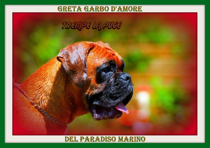 Greta  garbo d'amore Del paradiso marino