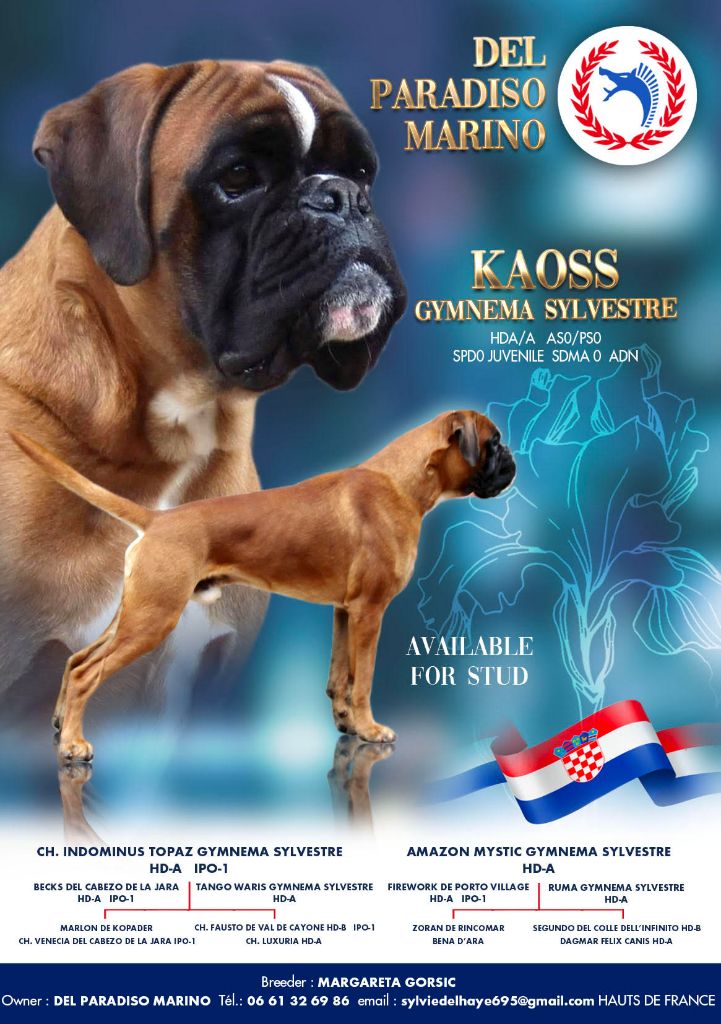 Del paradiso marino - Kaoss Gymnema Sylvestre  20 mois
