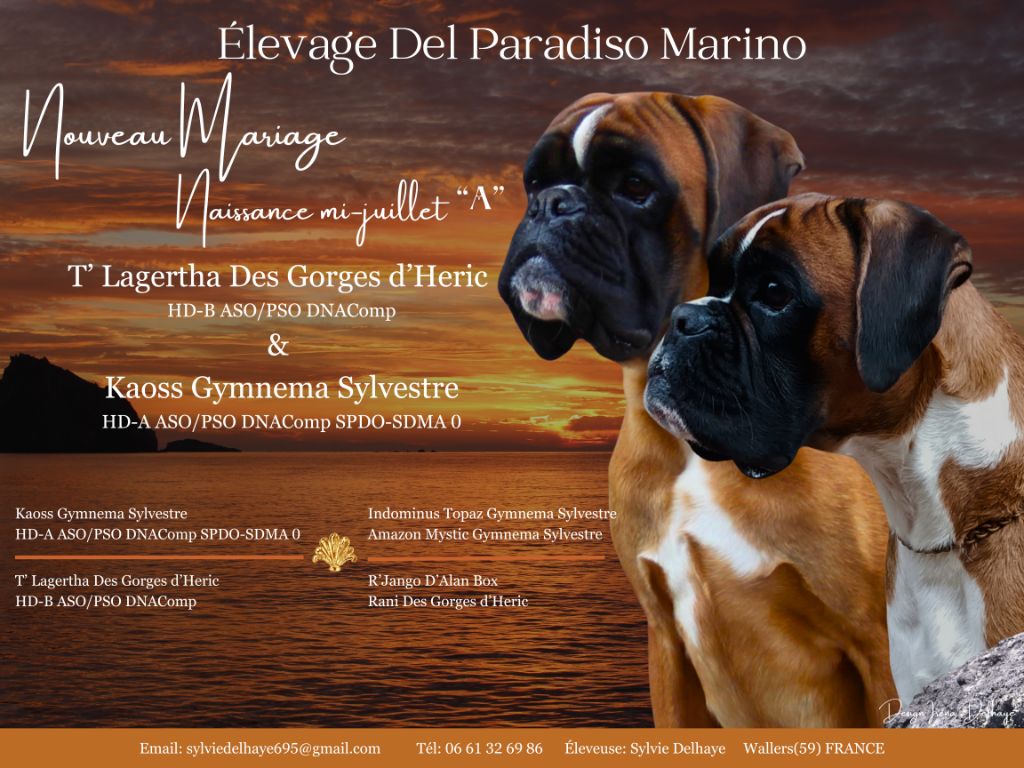 Del paradiso marino - Mariage chez les DPM